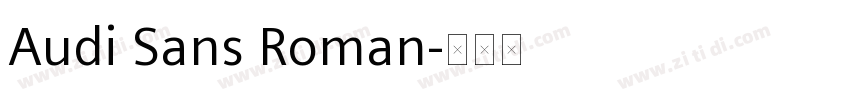 Audi Sans Roman字体转换
